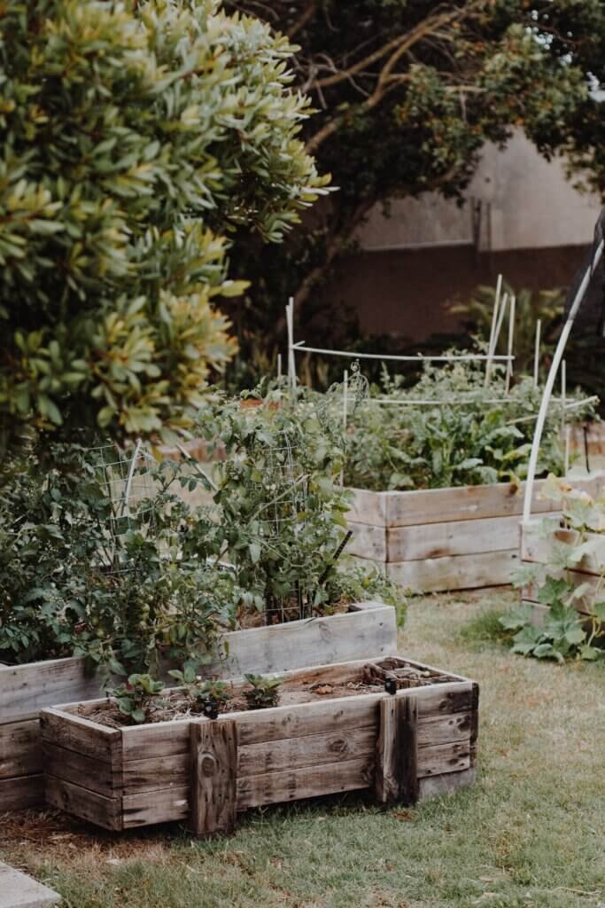 How To Start A Community Garden In An Urban Area